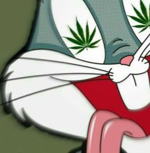 Meet your Posher, Antonio